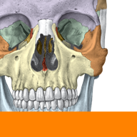 Sobotta Anatomy icon